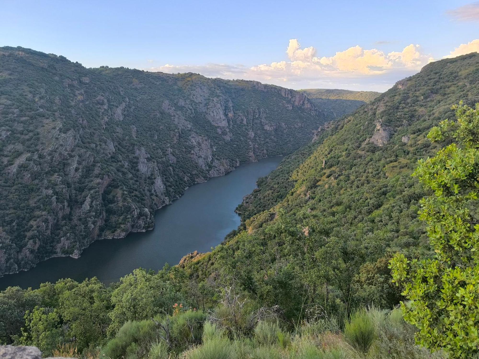 Cabanas Miraduero Альдеадавила-де-ла-Рибера Экстерьер фото